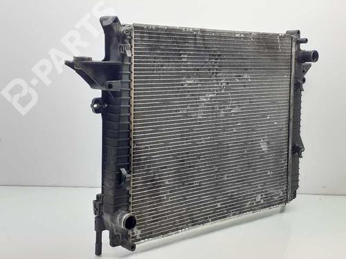 Køler LAND ROVER DISCOVERY III (L319) 2.7 TD 4x4 | BP6811858M31 