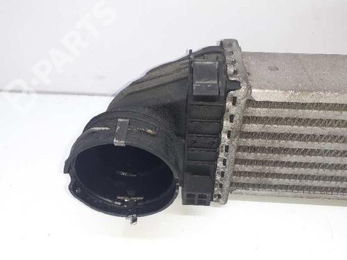 Intercooler MERCEDES-BENZ B-CLASS Sports Tourer (W245)  | BP6989657M30 