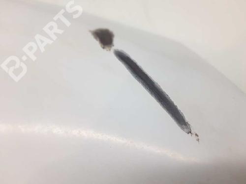Left front fenders RENAULT MASTER II Platform/Chassis (ED/HD/UD) 3.0 dCi 120 | BP7024299C41 