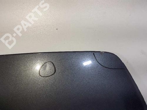 Hood VOLVO S40 II (544) 1.6 D | BP2285143C1 