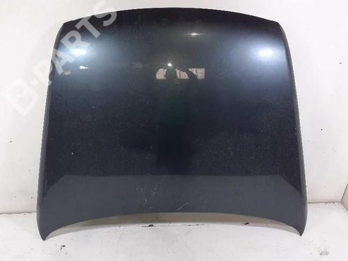 Hood VW TOUAREG (7LA, 7L6, 7L7) 5.0 V10 TDI | BP7229603C1 