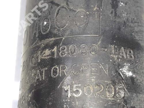 Right rear shock absorber FORD FOCUS III 1.6 TDCi | BP8260043M19 