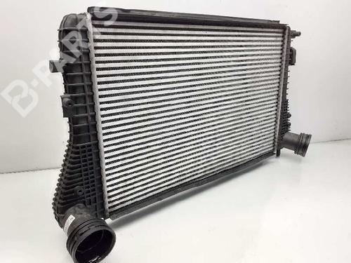 Intercooler VW GOLF V (1K1)  | BP8331895M30 