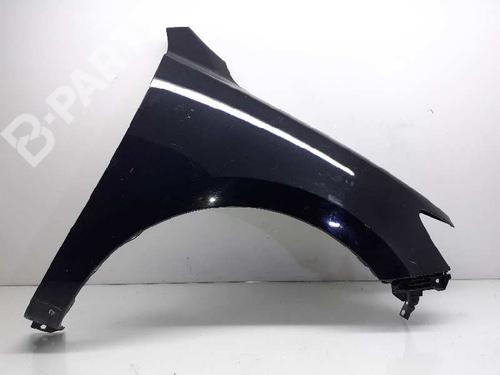 Right front fenders HYUNDAI SANTA FÉ II (CM) 2.2 CRDi | BP8504512C42 
