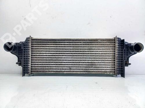 Intercooler MERCEDES-BENZ M-CLASS (W164)  | BP8903474M30 