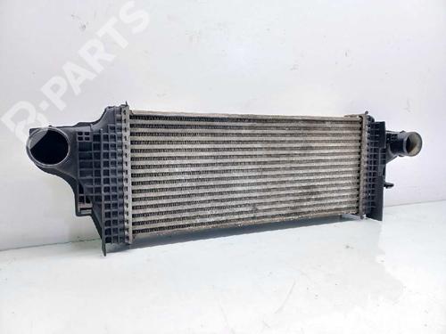 Used Intercooler MERCEDES-BENZ M-CLASS (W164) [2005-2012]  8903474