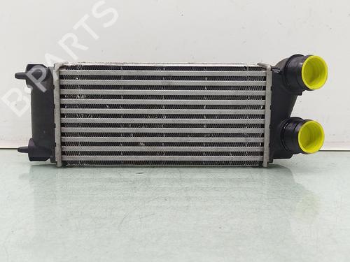 Intercooler Intercooler CITROËN C4 II (NC_) 1.6 BlueHDi 100 (99 hp) 35979799 35979799