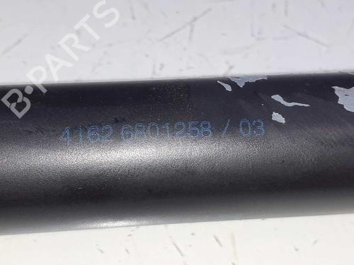 Tailgate lift support MINI MINI (R50, R53) Cooper S | BP14307543C138 