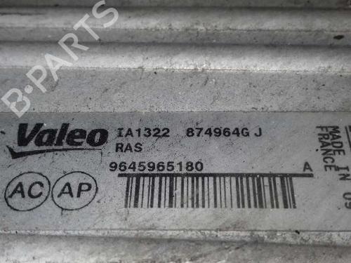 Intercooler CITROËN XSARA PICASSO (N68)  | BP1740596M30 