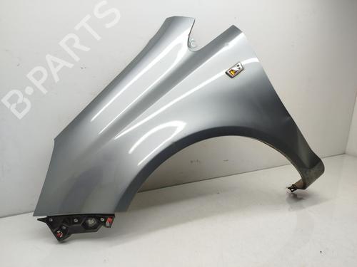 Left front fenders OPEL CORSA D (S07) 1.3 CDTI (L08, L68) | BP18603693C41 