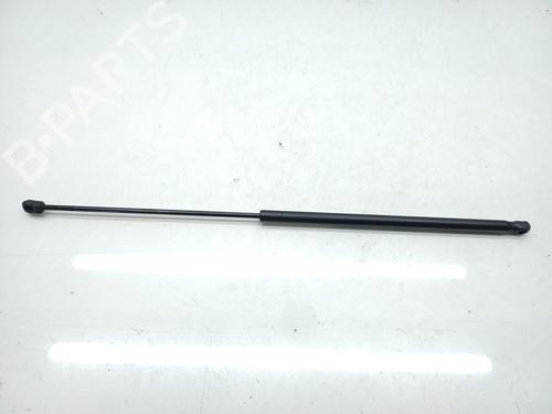 Amortiguador capot AUDI A4 B7 (8EC) 2.0 TDI (170 hp) 21534325