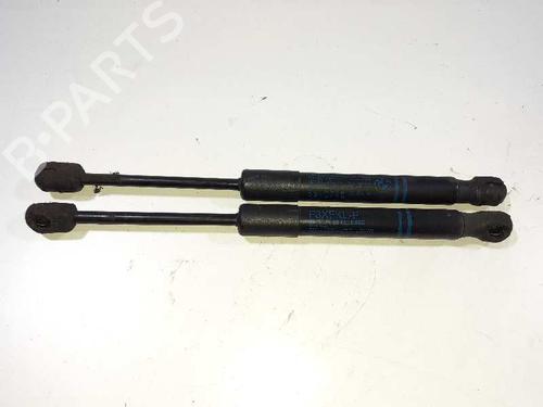 Hood lift support BMW 3 (F30, F80) 320 d | BP14308287C139 