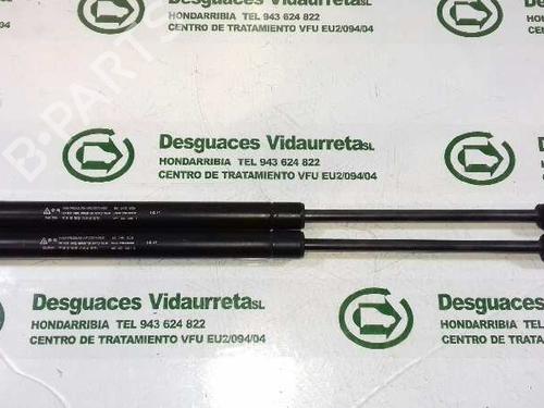 Used Tailgate lift support CHEVROLET AVEO / KALOS Hatchback (T250, T255) 1.2 (84 hp) 14306592