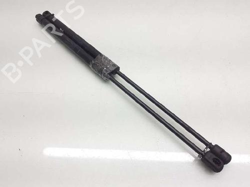 Hood lift support JAGUAR XE (X760)  | BP14309474C139 