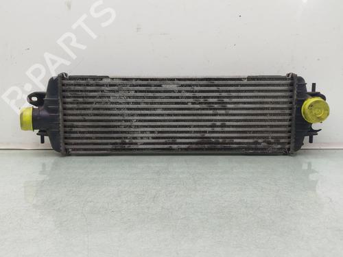 Used Intercooler Intercooler NISSAN PRIMASTAR Van (X83) 2.5 dCi 140 (135 hp) 34137987 34137987