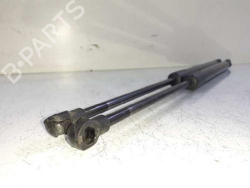 Tailgate lift support BMW 1 (E87)  | BP14307563C138 