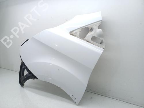Left front fenders FORD TRANSIT CUSTOM V362 Van (FY, FZ) 2.2 TDCi | BP31968985C41 