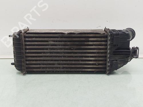 Intercooler PEUGEOT 208 I (CA_, CC_) 1.6 BlueHDi 100 | BP30505087M30