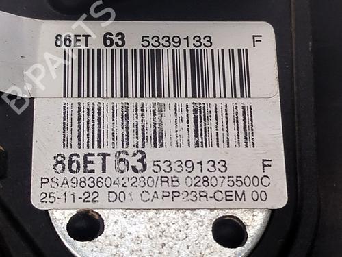 Pedal FIAT DOBLO Box Body/MPV (510_, 511_) BlueHDi 100 | BP29133447I4 