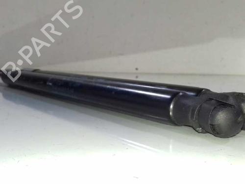 Tailgate lift support FORD FOCUS III 1.6 TDCi | BP14307020C138 