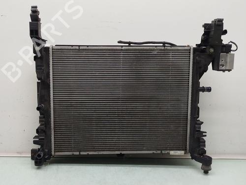 Water radiator RENAULT KANGOO Express (FW0/1_) Z.E. (FW0Z, FW1Z) | BP38435257M31 - Image 1