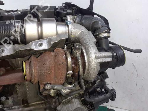Engine FORD FIESTA VI (CB1, CCN)  | BP9041993M1 