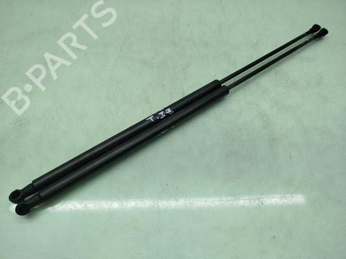 Used Tailgate lift support NISSAN JUKE (F15) 1.6 DIG-T 4x4 (190 hp) 23958277