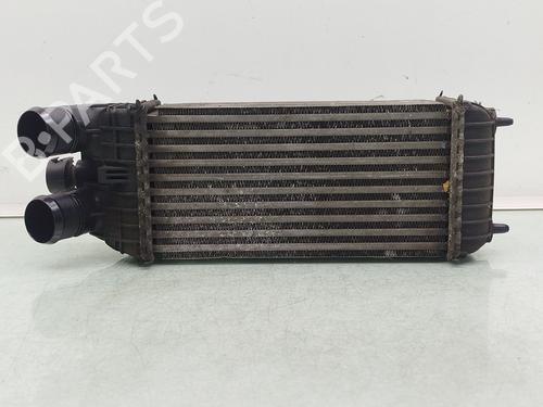 Used Intercooler PEUGEOT 208 I (CA_, CC_) 1.6 BlueHDi 100 (100 hp) 30505087
