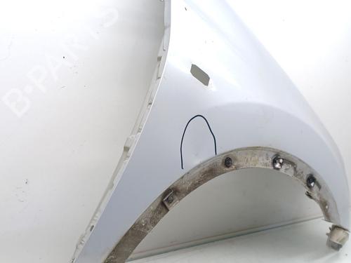 Right front fenders NISSAN QASHQAI / QASHQAI +2 I (J10, NJ10, JJ10E)  | BP25439431C42 