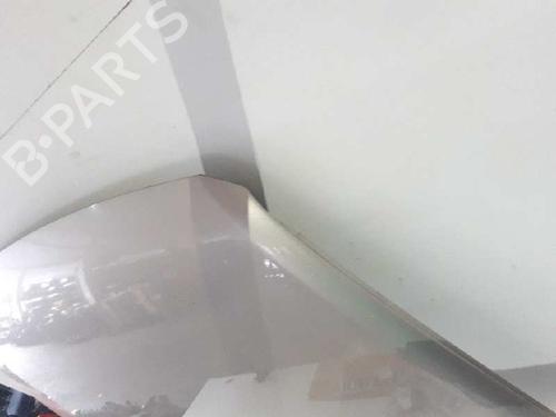 Hood VW TOUAREG (7LA, 7L6, 7L7) 2.5 R5 TDI | BP1717837C1 