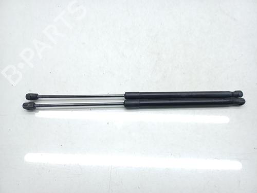 Tailgate lift support FORD FIESTA VI (CB1, CCN) 1.0 EcoBoost | BP27491724C138 