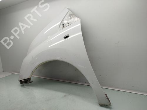 Left front fenders FIAT SCUDO Bus (270_, 272_) 2.0 D Multijet | BP20306050C41 