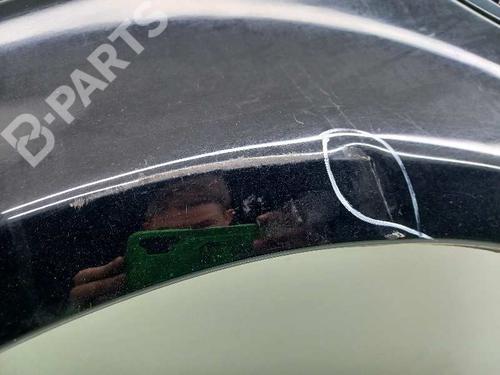 Left front fenders LAND ROVER RANGE ROVER SPORT I (L320) 2.7 D 4x4 | BP11027221C41 