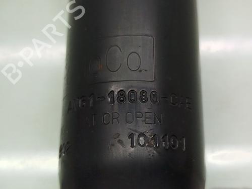 Right rear shock absorber FORD GRAND C-MAX (DXA/CB7, DXA/CEU) 1.6 TDCi | BP21147854M19 