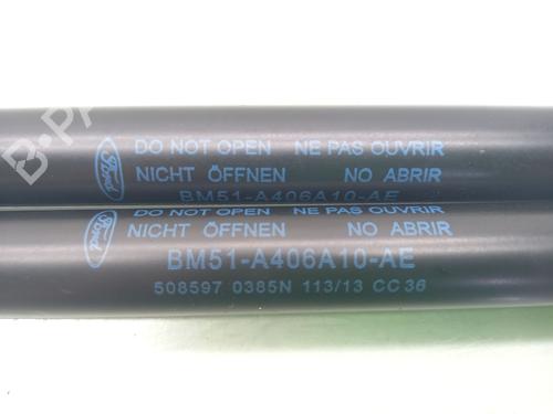 Tailgate lift support FORD FOCUS III 1.6 TDCi | BP17195587C138 