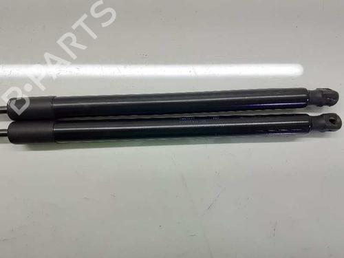 Tailgate lift support VW GOLF ALLTRACK VII Variant (BA5, BV5)  | BP14308067C138 