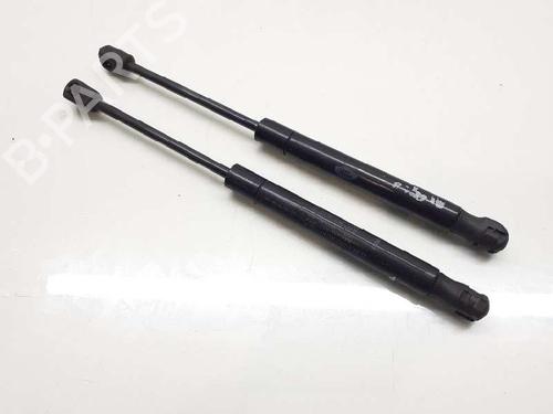Used Hood lift support LAND ROVER RANGE ROVER EVOQUE (L538) 2.2 D (150 hp) 14308542
