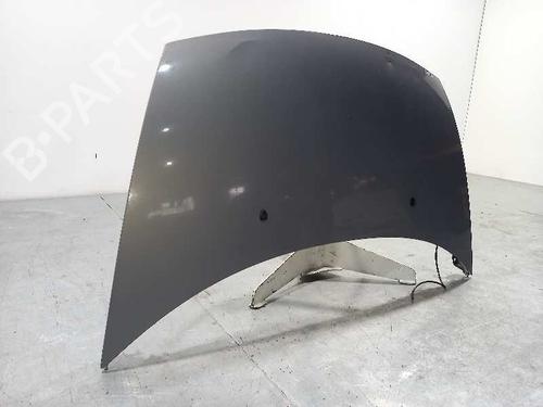 Hood CITROËN C3 I (FC_, FN_)  | BP18200071C1 