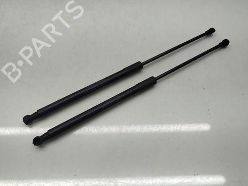 hood-lift-support-lexus-nx-_z1_-2014-32329324 main image