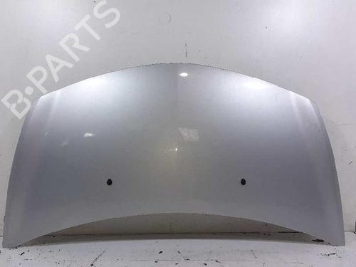 Used Hood RENAULT CLIO III (BR0/1, CR0/1) 1.5 dCi (BR17, CR17) (86 hp) 7846697