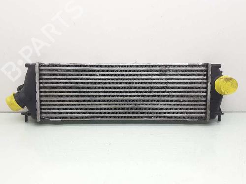 Intercooler NISSAN PRIMASTAR Van (X83) 2.0 dCi 115 (114 hp) 992563J | 93854162 | 8200411160