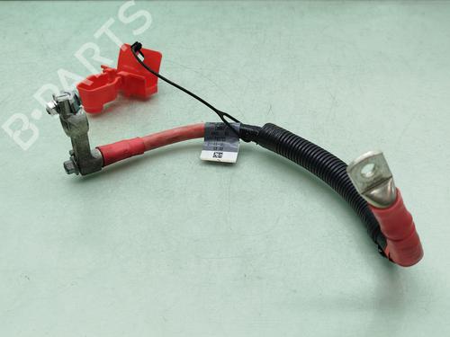 Used Cable Cable JAGUAR F-PACE (X761) 3.0 SDV6 AWD (300 hp) 40221010 40221010