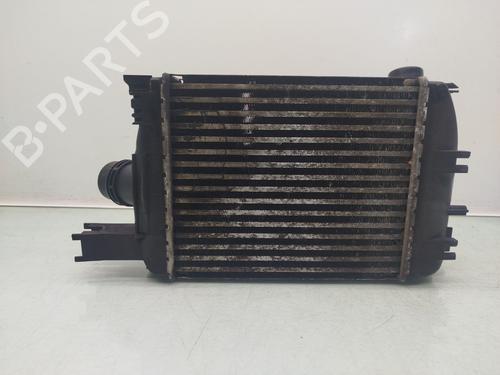 AC radiator DACIA DOKKER Express Box Body/MPV 1.5 dCi 75 / Blue dCi 75 (FEJW, FEAH) | BP24507973M32 