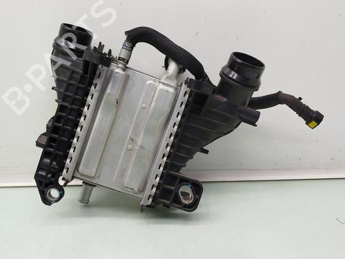 Used Intercooler RENAULT KADJAR (HA_, HL_) 1.5 BLUE dCi 115 (HLA6) (116 hp) 30770250