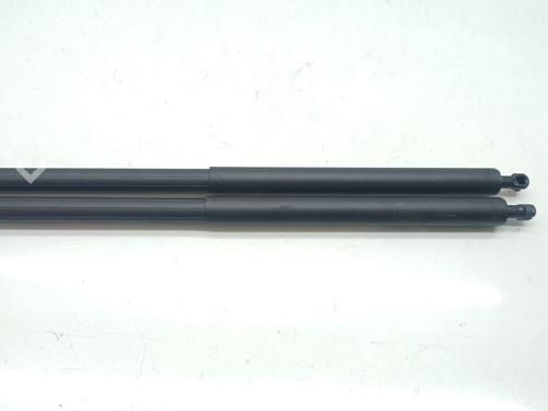Tailgate lift support MERCEDES-BENZ V-CLASS (W447) V 300 CDI / d 4-matic (447.811, 447.813) | BP29133323C138 