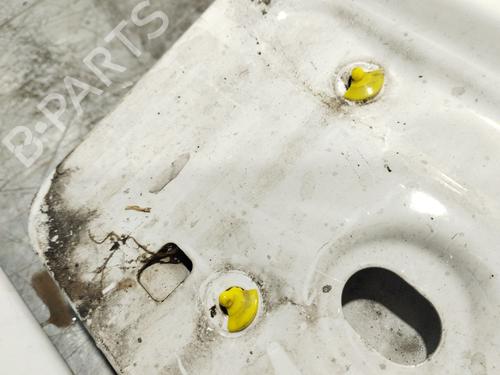 Tailgate LAND ROVER DISCOVERY IV (L319)  | BP30482578C6 