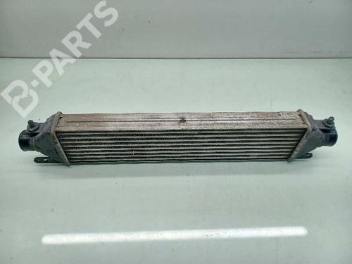 Intercooler OPEL COMBO Box Body/MPV (X12)  | BP10774979M30 