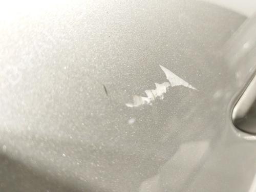 Right front door LAND ROVER RANGE ROVER EVOQUE (L538) 2.0 D 4x4 | BP30330154C3 