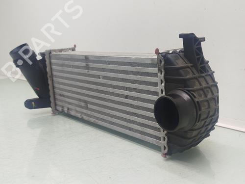 Intercooler MERCEDES-BENZ CITAN Box Body/MPV (W415) 109 CDI (415.601, 415.603, 415.605) | BP30262233M30 