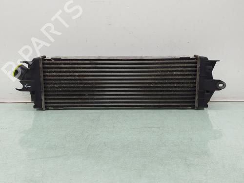 Intercooler RENAULT TRAFIC II Bus (JL) 2.0 dCi 115 (JL00, JL01, JL0H, JL0M, JL0U) | BP38287084M30 - Image 4
